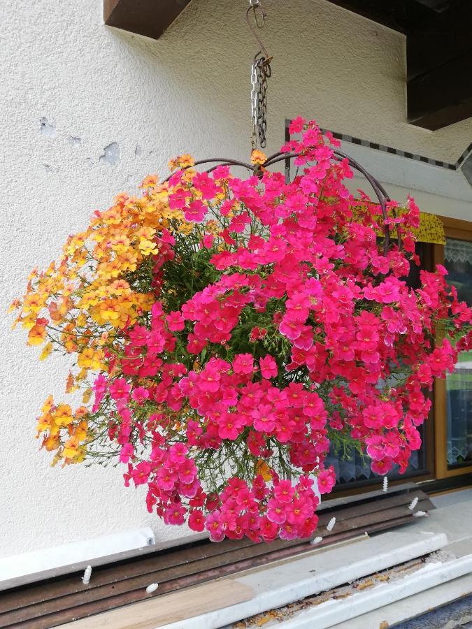 Haus Seppi Hotel Neukirchen am Großvenediger Екстериор снимка