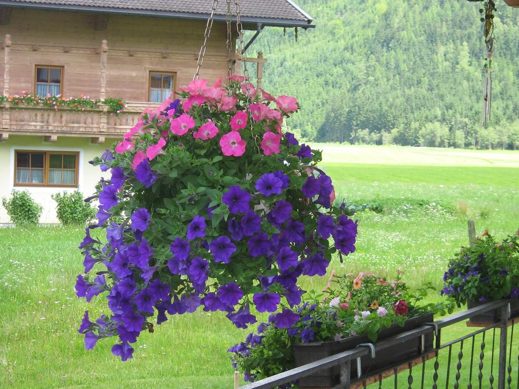 Haus Seppi Hotel Neukirchen am Großvenediger Екстериор снимка